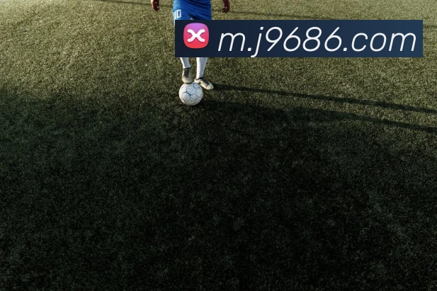 奖项证书